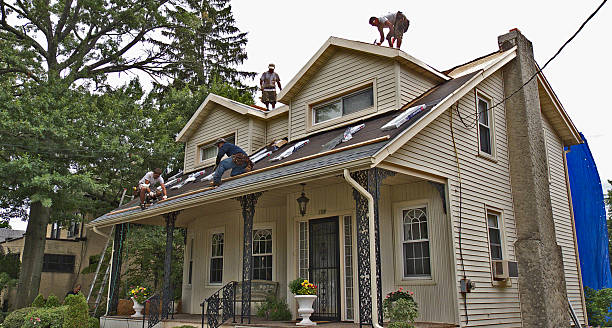 Best Roof Gutter Cleaning  in Evansville, IN